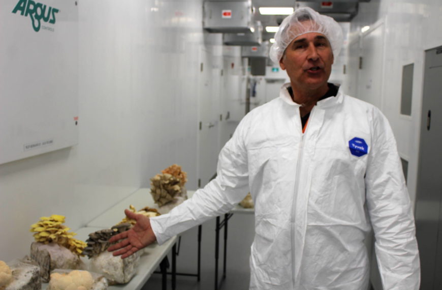 Canada’s largest magic mushroom plant opens in Princeton