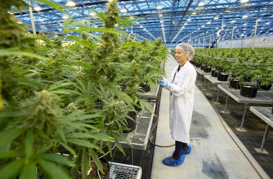 Cannabis company Hexo’s restructuring to include loss of 450 jobs, Ontario facility closure