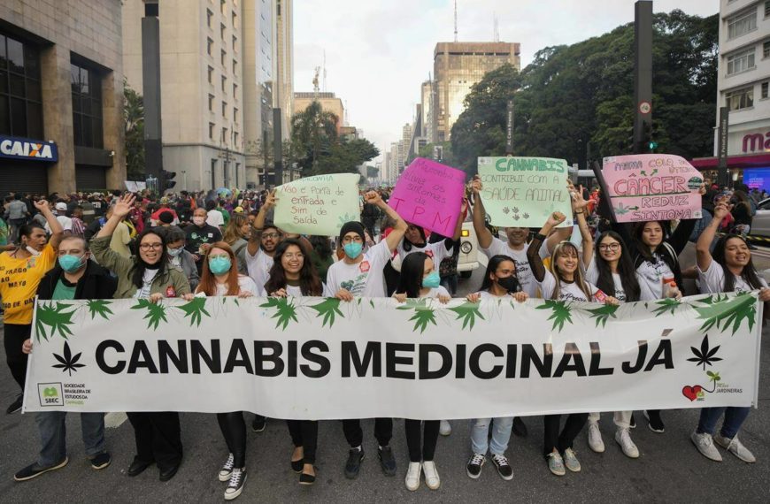 Brazil court approves home grown cannabis for medical use