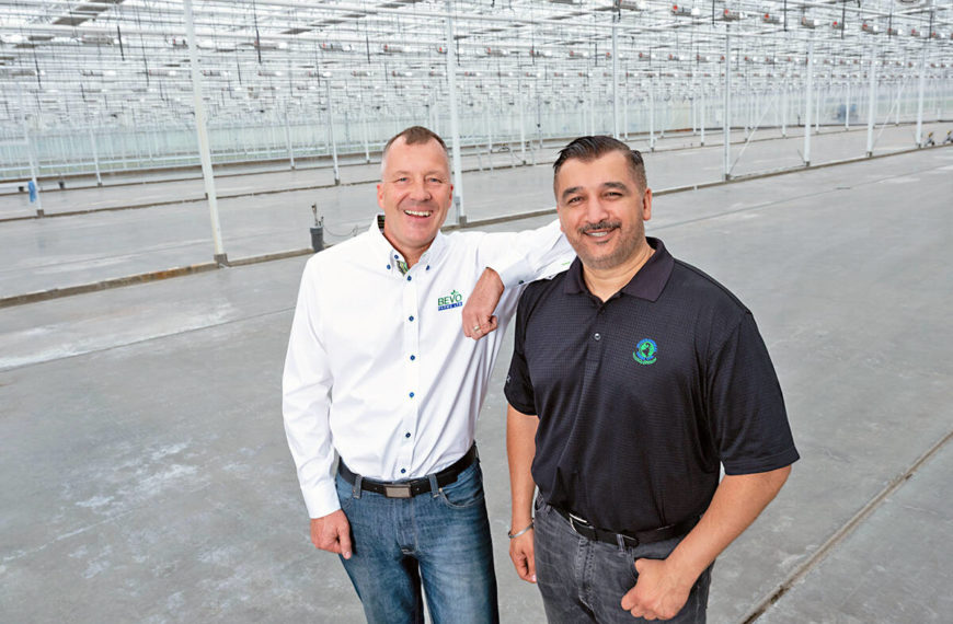 BC plant propagation facility signs deal with major cannabis provider in Canada