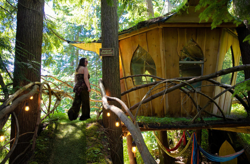 This B&B (bud and bong) is a stoner’s forest paradise