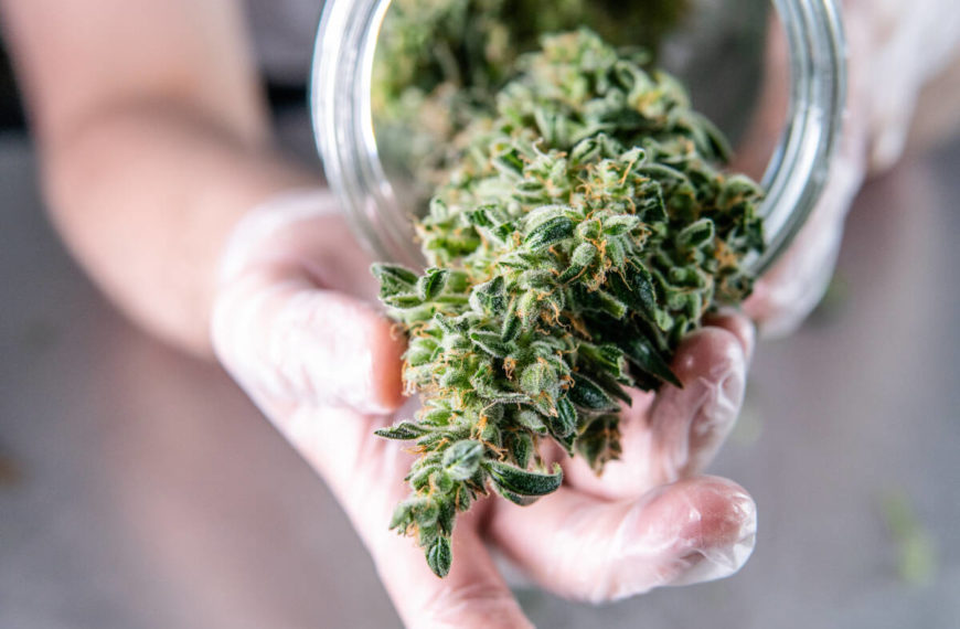 Alberta cannabis market remains volatile since legalization