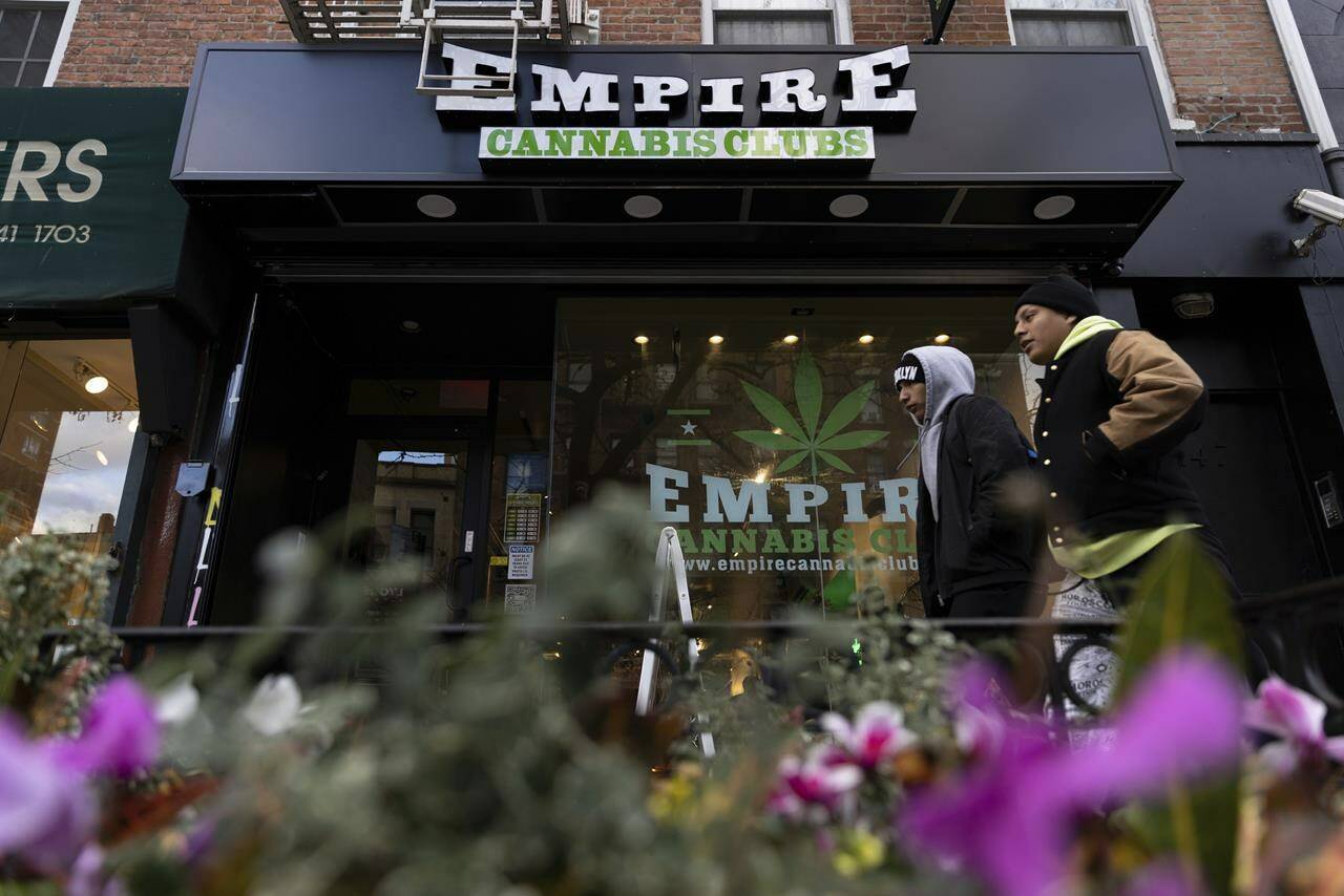 New York hasn’t licensed any pot shops, yet they abound