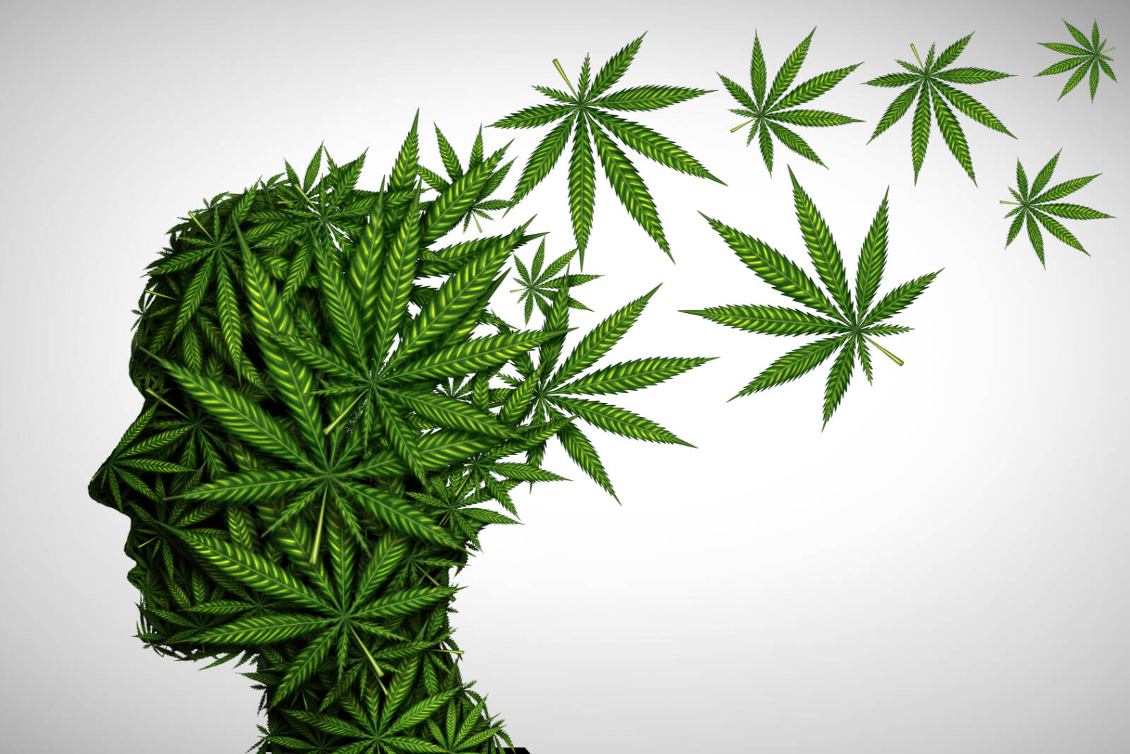 Cannabis and the brain: The side-effects of smoking weed