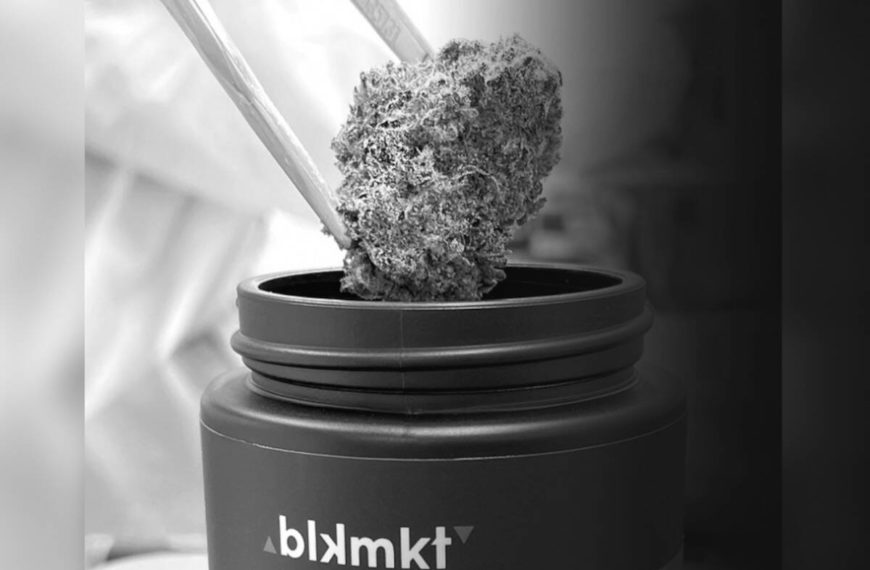 High praise: Awards salute the best of the best cannabis brands + marketing