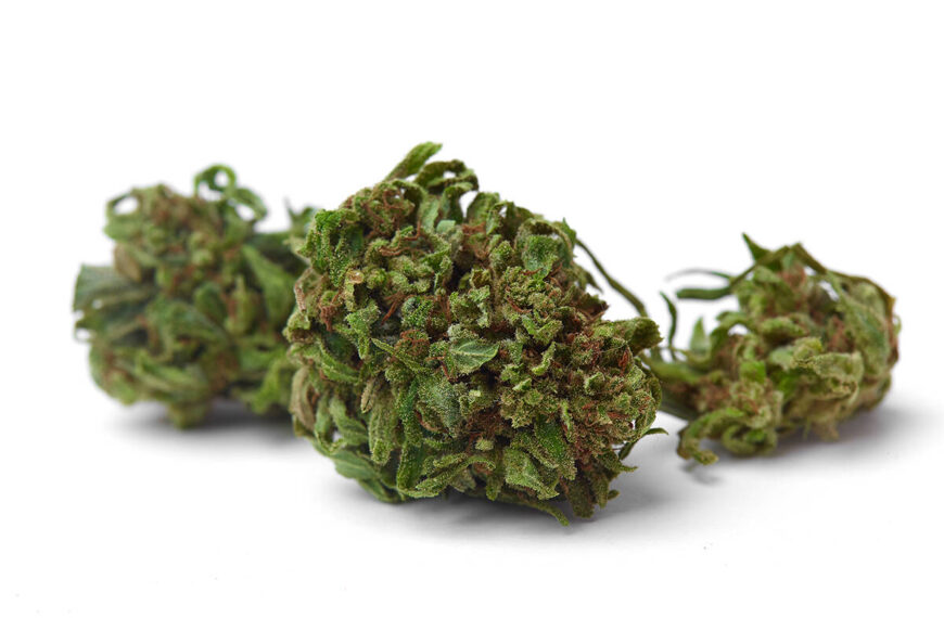 Cannabis company TerrAscend applies for TSX listing, will carry out internal reorg