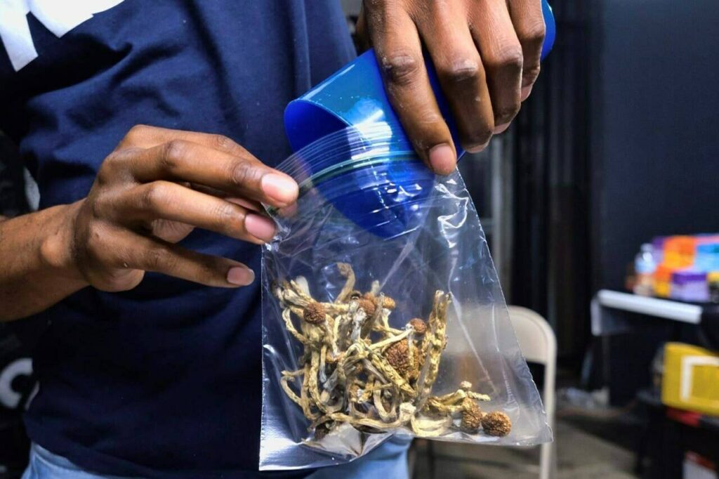 Health-care professionals fight decision to reject access to psilocybin for training