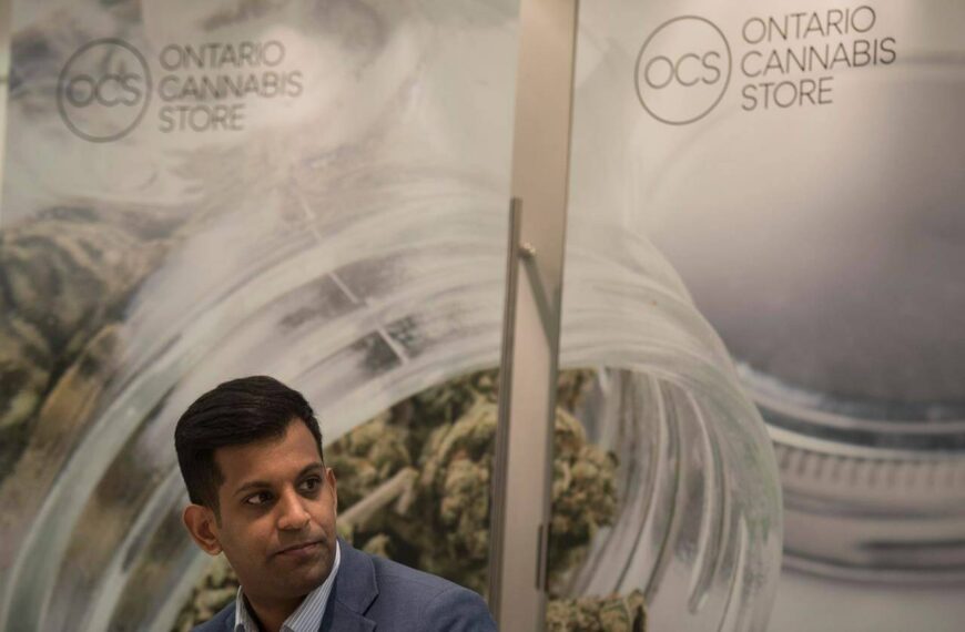 Cannabis price ‘race to the bottom’ hurts market’s future: OCS CEO