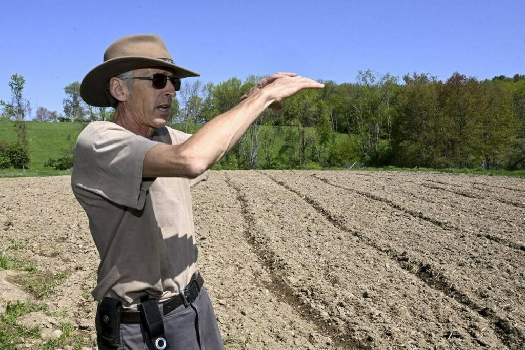Slow start to New York’s legal pot market leaves farmers holding the bag