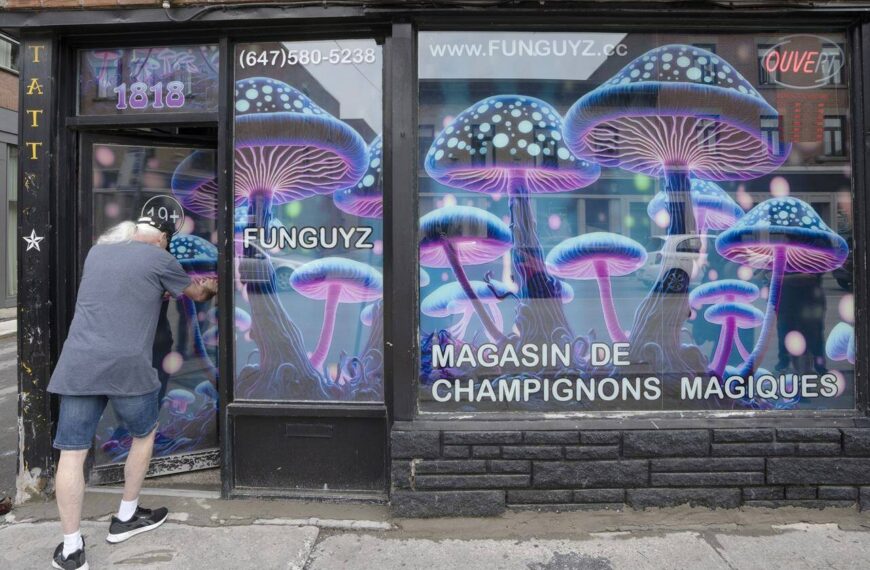 Experts doubt whether illegal magic mushroom stores will advance drug policy