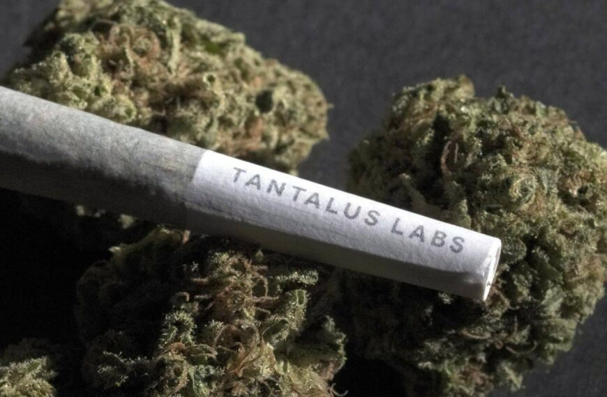 Cannabis company Atlantic Cultivation acquires insolvent Tantalus Labs brand