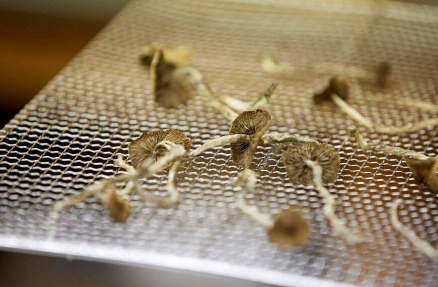 Oregon launches legal psilocybin access amid high demand and hopes for improved mental health care