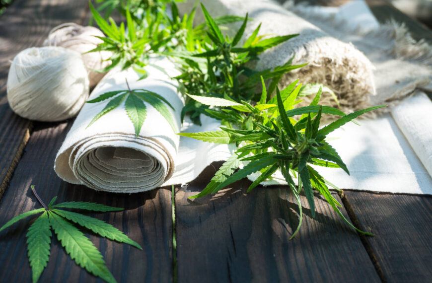 Innovations in hemp: Paper, fabric and … home construction