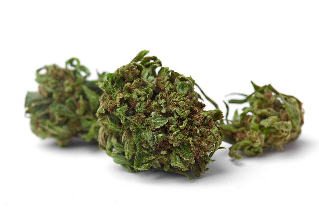 Surrey council OKs new cannabis stores in North Surrey, Cloverdale