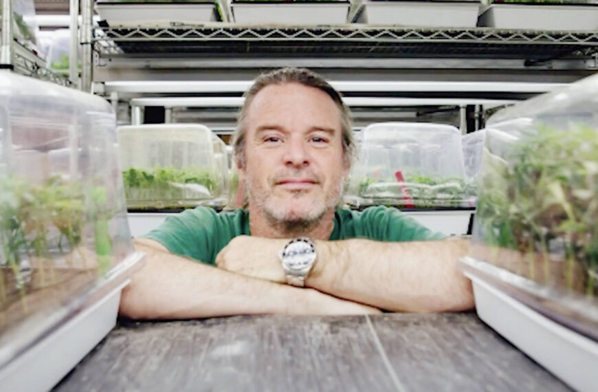 2025 Grow Up Awards celebrate Canada’s cannabis leaders