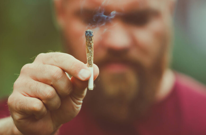 Grow Up with the 2026 Canadian Cannabis Championship
