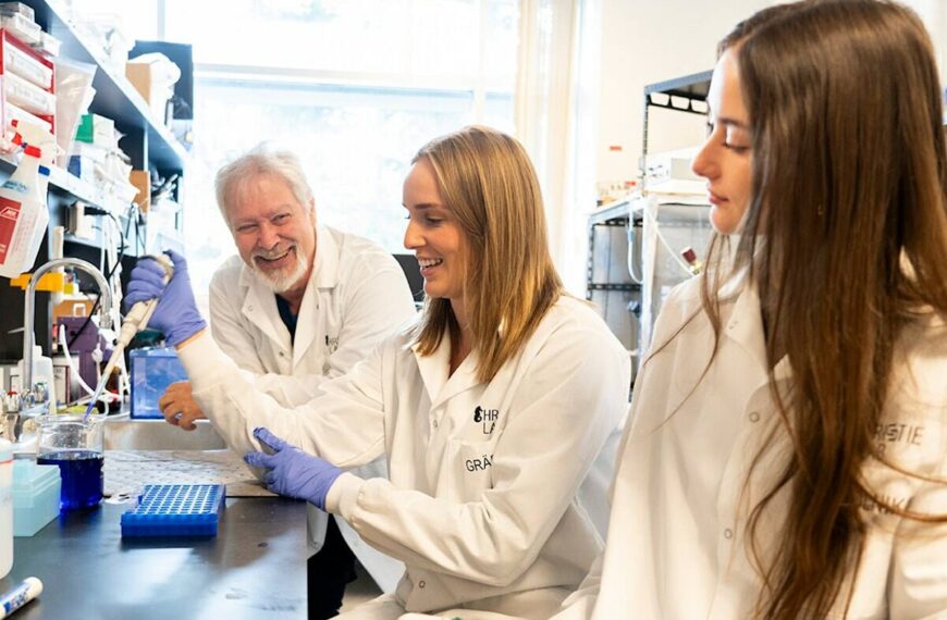 University of Victoria research suggests psychedelics may help heal brain injuries